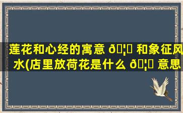 莲花和心经的寓意 🦁 和象征风水(店里放荷花是什么 🦅 意思)